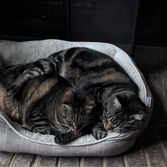 Meet your posher - Picture 4 of 6